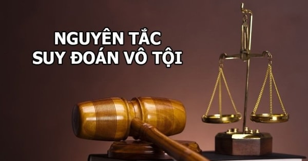 nguyen-tac-suy-doan-vo-toi